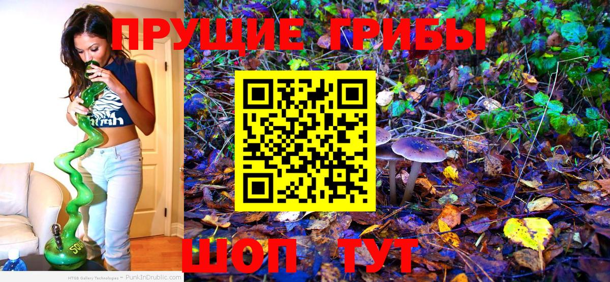 Галлюциногенные грибы Cubensis Сухой Лог