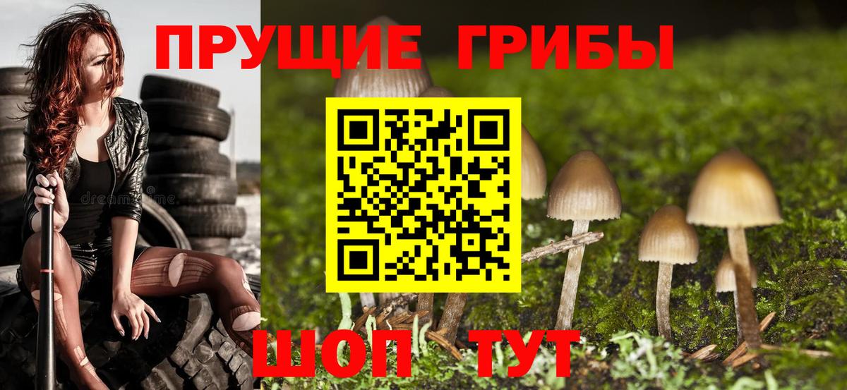 Сухой Лог  Галлюциногенные грибы Cubensis  Галлюциногенные грибы Psilocybe  Вход с VPN 